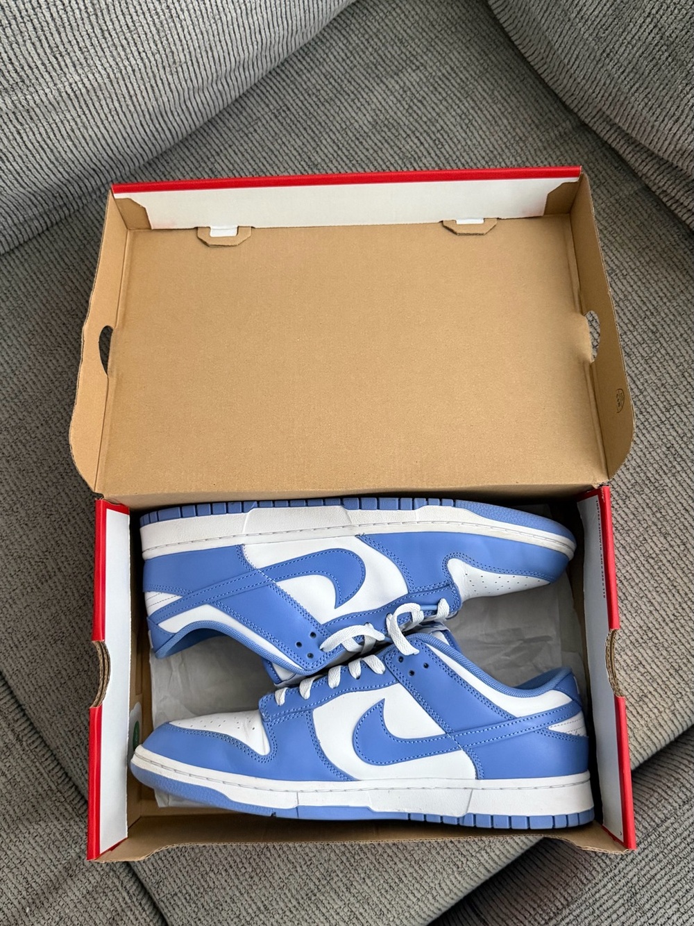 Nike dunks polar blue